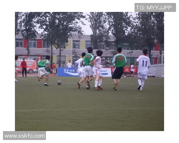 新浪足球直播比分全方位解析助你掌握每场比赛动态与精彩瞬间